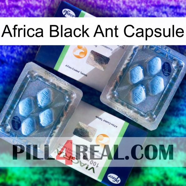 Africa Black Ant Capsule viagra5.jpg